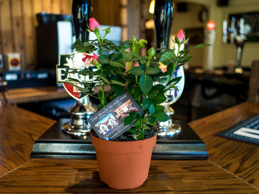 The Black Horse Swaffham Bulbeck Exterior photo